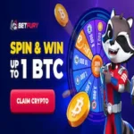 BetFury Game